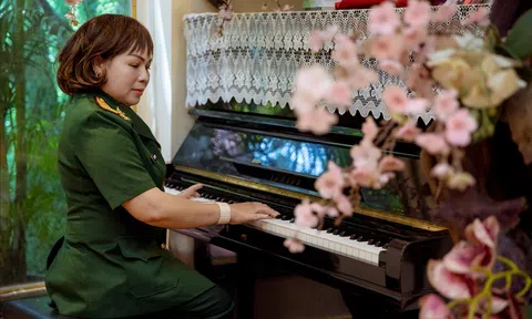 Chim họa mi của núi rừng Tây Nguyên