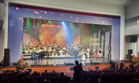 Xây dựng môi trường văn hóa ở Việt Nam