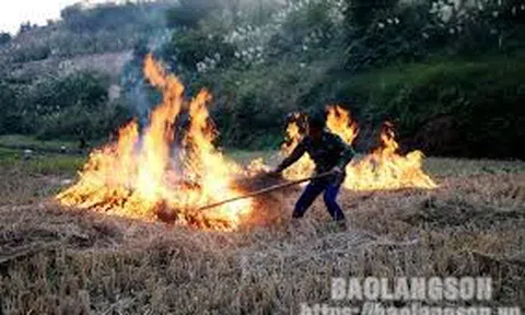 Một cuộc chát với ChatGPT