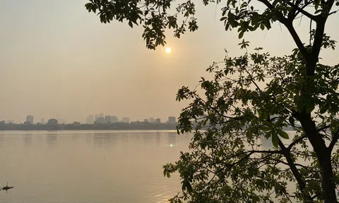 Tôi mua nhà vườn của ba mẹ bạn
