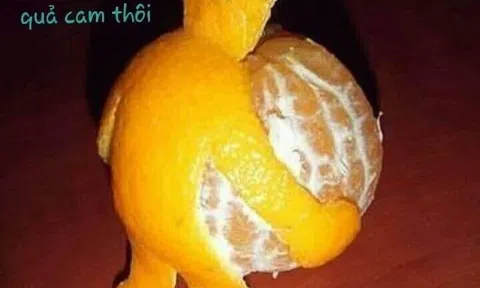 Quà biếu là bổ tất!