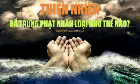 Thiên nhiên đã trừng phạt nhân loại như thế nào?