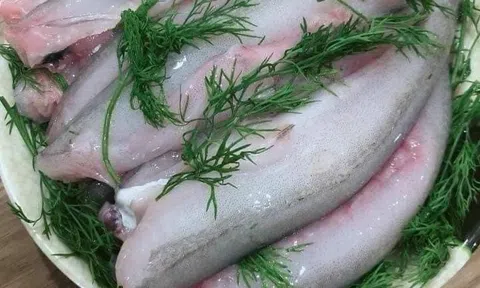 Cá Cháo - Đặc sản biển ngang mùa cá bấc