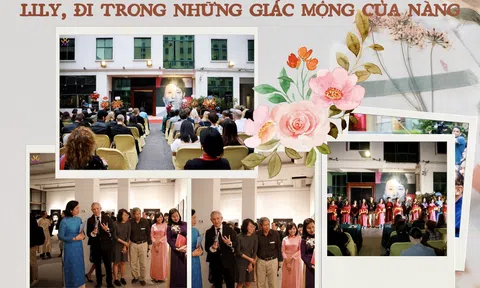 Khai mạc triển lãm Lily, đi trong những giấc mộng của nàng