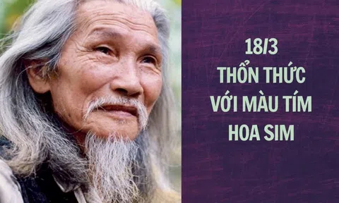 18/3 thổn thức với "Màu tím hoa sim"