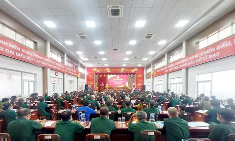 Hội Cựu TNXP tỉnh Kiên Giang phát huy truyền thống anh hùng thực hiện tốt vai trò của Hội