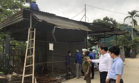 Vĩnh Phúc: Yên Lạc xử lí gần 100 trường hợp vi phạm pháp luật về đất đai