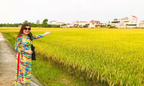 Tháng Tư, lặng nghe lúa hát!