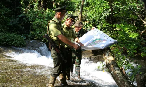 Tuyên Quang: Na Hang  phòng chống cháy rừng