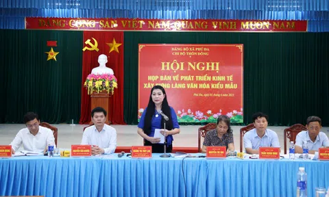 Vĩnh Phúc: Triển khai xây dựng “Làng văn hóa kiểu mẫu” thôn Đông (Phú Đa - Vĩnh Tường)
