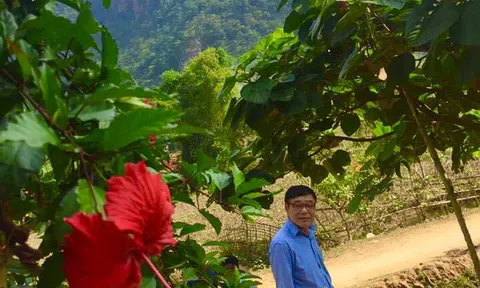 "Người bay về miền mây trắng…"