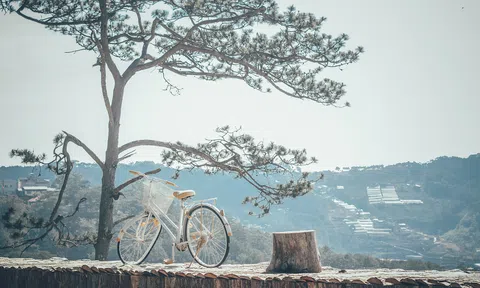 Tiếng chim hót trong mưa