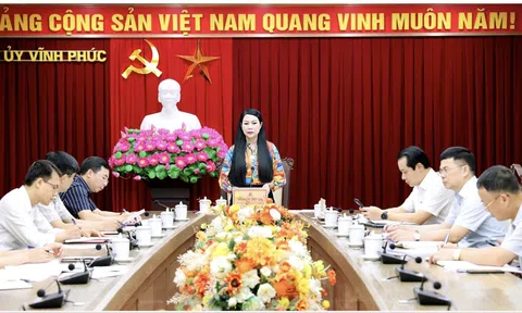Vĩnh Phúc: Làm tốt công tác truyền thông, huy động sức mạnh của cả hệ thống chính trị xây dựng Làng văn hóa kiểu mẫu