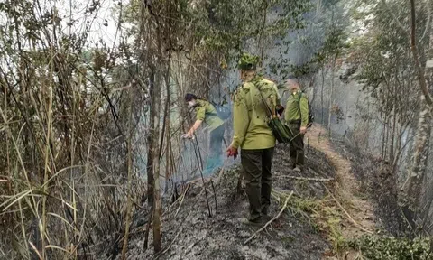 Hà Giang: Phòng chống cháy rừng đặc dụng Phong Quang - Tây Côn Lĩnh