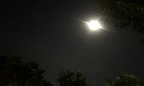 Đêm trắng