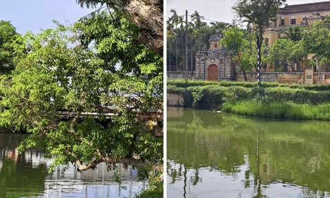 Những chặng đường qua sau ngày trở về Huế