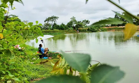 Trở về quê hương