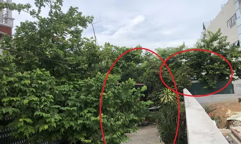 Vĩnh Phúc: Tp Phúc Yên sẽ mở đường từ phố Trần Nguyên Hãn rẽ vào Khu đô thị Hùng Vương