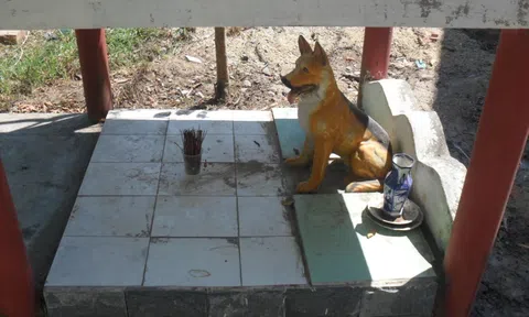 Hơn một thế kỷ dân Huế thờ Linh Cẩu bảo vệ làng