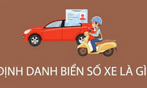 Áp dụng Biển số định danh từ 15/8/2023: Dòng xe sang tên đổi chủ tăng mạnh trước ngày hiệu lực
