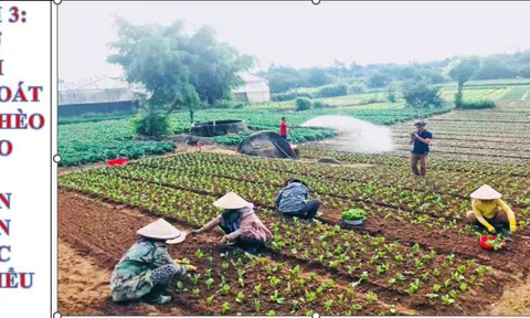 Bài 3: Mở lối thoát nghèo cho bà con dân tộc thiểu số