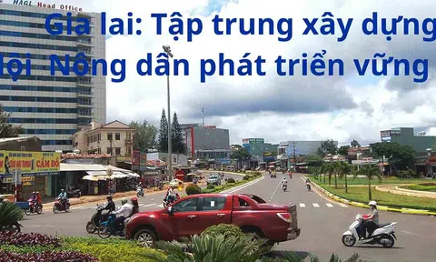 Gia Lai: Tập trung xây dựng Hội Nông dân phát triển vững mạnh