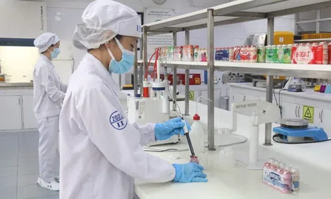 Phát triển bền vững - 'Hộ chiếu' và 'thỏi nam châm' cho sản phẩm Vinamilk xuất ngoại