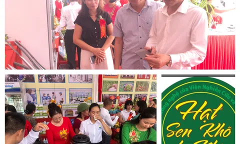 Vĩnh Phúc: Thêm một khu thiết chế Làng văn hóa kiểu mẫu Bàn Mạch (Lý Nhân - Vĩnh Tường) đi vào hoạt động