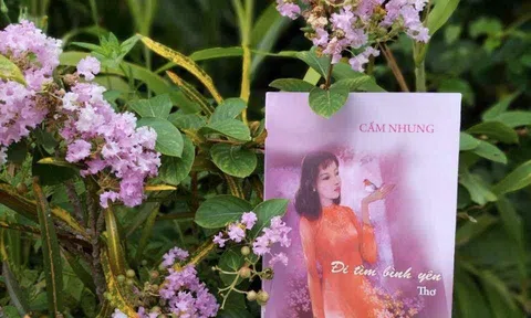 Bình yên trong thơ Phan Cẩm Nhung