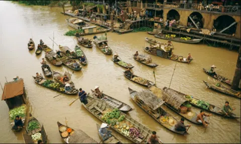 Phim "Đất rừng phương Nam" gây phản ứng, Cục Điện ảnh phản hồi