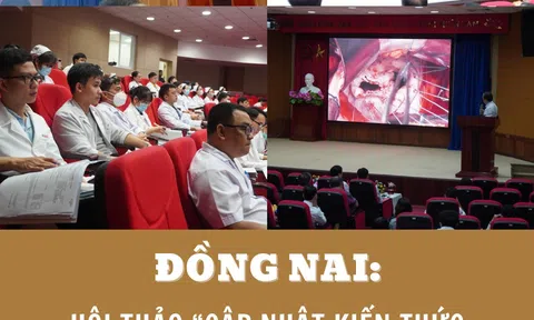 Đồng Nai: Hội thảo “Cập nhật kiến thức và trao đổi kinh nghiệm trong điều trị bệnh lý Tim mạch & Ngoại Thần kinh”