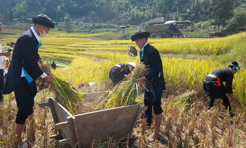 Hà Giang: Sắc màu Lễ hội "Mùa vàng – Làng nhà rêu” Xà Phìn năm 2023