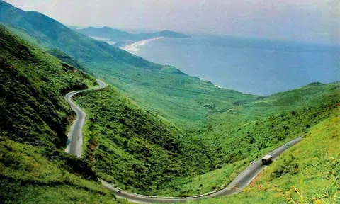 “Lá đỏ” - Một hồn thơ đa cảm, tài hoa