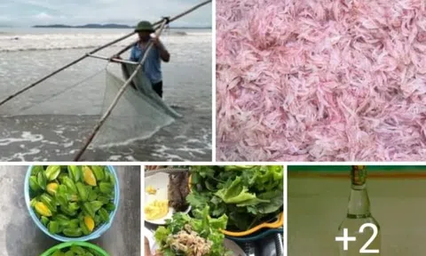 Đi trủ ruốc, một nghề truyền thống quê tôi bị thất truyền