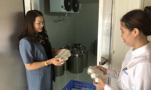 Vĩnh Phúc: Giáo viên, đại diện phụ huynh Trường Mầm non An Tường trải nghiệm tại Công ty Cổ phần chăn nuôi và chế biến sữa Vĩnh Thịnh