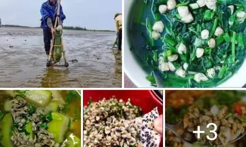 Ký ức quê hương: Nghề nạo giắt quê tôi