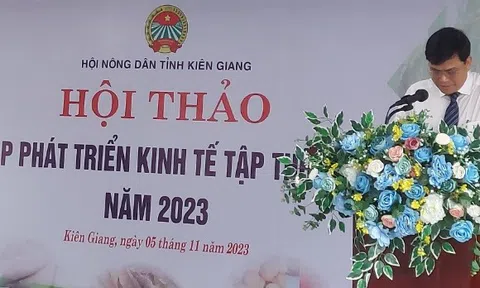 Kiên Giang: “Giải pháp phát triển kinh tế tập thể bền vững”