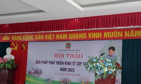 Kiên Giang: Giải pháp phát triển kinh tế tập thể năm 2023