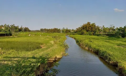 Tình em dệt chiếu
