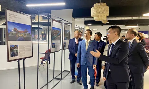 “Ngày Việt Nam tại Pháp 2023”: Khám phá văn hóa Việt qua các hoạt động trải nghiệm đa giác quan