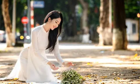 Cúc Họa Mi chào đông về