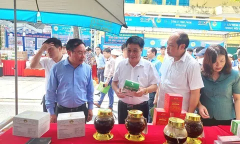 Tuần hàng OCOP và nông sản an toàn 2023 Hà Nội - Kết nối thành công đầu ra cho sản phẩm địa phương