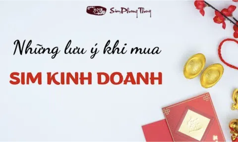 Sim kinh doanh đem lại tài lộc, chắp cánh thành công