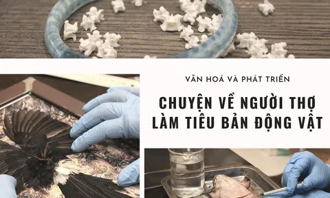 Chuyện về người thợ làm tiêu bản động vật