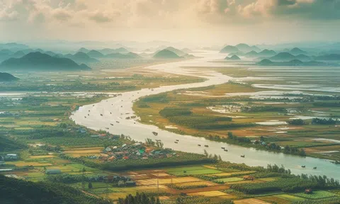 Trận càn cuối cùng (1)