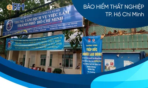 Bảo hiểm thất nghiệp ở TP HCM: Nỗ lực góp phần định hình tương lai lao động