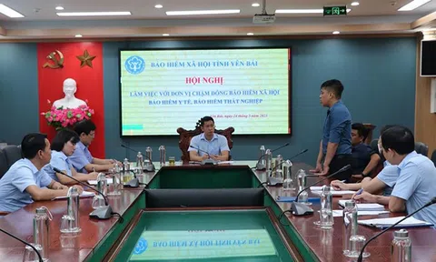 Ngành BHXH Việt Nam: Tiếp tục thực hiện nghiêm quy định  về quản lý thu, thanh tra chuyên ngành và xử phạt vi phạm hành chính