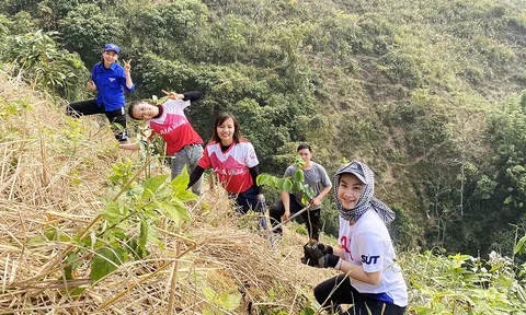Chung tay phủ xanh đất trống, đồi trọc tại bản Suối Bu