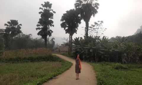 Lâm Thượng, về chốn an yên