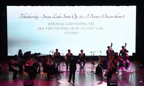 Hòa nhạc mùa đông “The Alpha Vol.2: Swan Lake”: Hành trình của Odette